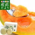 北海道より産地直送 JA夕張市 夕張メロン 良品 2玉(1.3キロ×2玉) 送料無料ゆうばり 夕張キング めろん