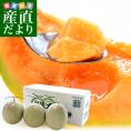 北海道より産地直送 JA夕張市 夕張メロン 良品 3玉(1.3キロ×3玉) 送料無料ゆうばり 夕張キング めろん