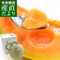 北海道より産地直送 JA夕張市 夕張メロン 秀品 1玉(2キロ×１玉) 送料無料ゆうばり 夕張キング めろん ギフト 夏ギフト お中元 御中元