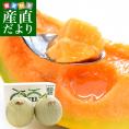 北海道より産地直送 JA夕張市 夕張メロン 秀品 2玉(2キロ×2玉) 送料無料ゆうばり 夕張キング めろん ギフト 夏ギフト お中元 御中元