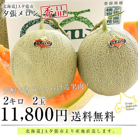 北海道より産地直送 JA夕張市 夕張メロン 秀品 2玉(2キロ×2玉) 送料無料ゆうばり 夕張キング めろん03