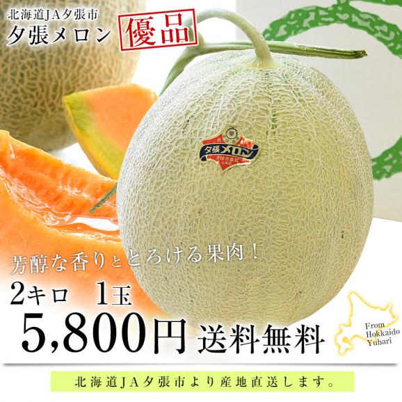 北海道より産地直送 JA夕張市 夕張メロン 優品 1玉(2キロ×1玉 北海道より産地直送 JA夕張市 夕張メロン 優品 1玉(2キロ×1玉