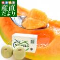 北海道より産地直送 JA夕張市 夕張メロン 優品 2玉(2キロ×2玉) 送料無料ゆうばり 夕張キング めろん ギフト 夏ギフト お中元 御中元