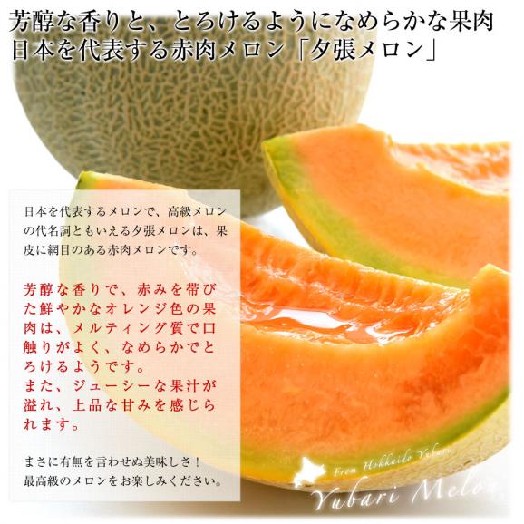 北海道より産地直送 JA夕張市 夕張メロン 優品 2玉(2キロ×2玉) 送料無料ゆうばり 夕張キング めろん ギフト 夏ギフト お中元 御中元04