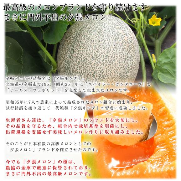北海道より産地直送 JA夕張市 夕張メロン 優品 2玉(2キロ×2玉) 送料無料ゆうばり 夕張キング めろん ギフト 夏ギフト お中元 御中元05