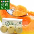 送料無料　北海道より産地直送　JA夕張市　夕張メロン　優品　3玉　（約2キロ×3玉）　ゆうばりめろん