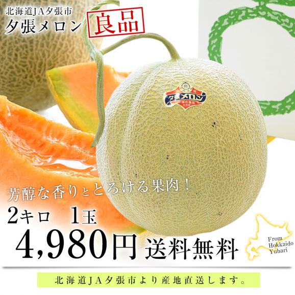 北海道より産地直送 JA夕張市 夕張メロン 良品 1玉(2キロ×１玉) 送料無料ゆうばり 夕張キング めろん03