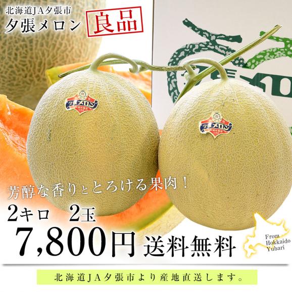 北海道より産地直送 JA夕張市 夕張メロン 良品 2玉(2キロ×2玉) 送料無料ゆうばり 夕張キング めろん03