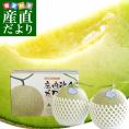 山形県より産地直送 JAそでうら 庄内砂丘メロン 「甘えん坊（青肉）」 3L 大玉2玉（1.5キロ×2玉）送料無料 メロン めろん