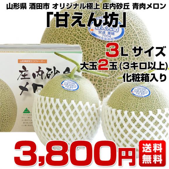 山形県より産地直送 JAそでうら 庄内砂丘メロン 「甘えん坊（青肉）」 3L 大玉2玉（1.5キロ×2玉）送料無料 メロン めろん03