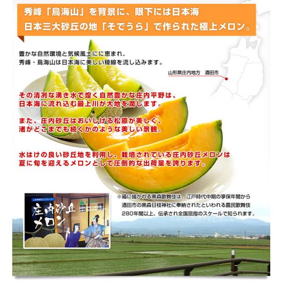 山形県より産地直送 JAそでうら 庄内砂丘メロン 「甘えん坊（青肉）」 3L 大玉2玉（1.5キロ×2玉）送料無料 メロン めろん04