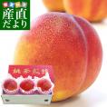 送料無料 山梨県より産地直送 JAフルーツ山梨 塩山支所 スイートネクタリン「黎王 (黄肉系) 」約1キロ (大玉330g前後×3玉入り) 桃 もも
