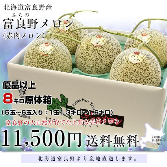 北海道より産地直送 富良野メロン 赤肉 約8キロ (大玉5玉から6玉) 送料無料 ふらのめろん レッド ギフト 夏ギフト お中元 御中元03