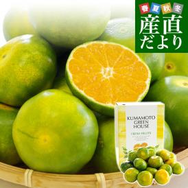 熊本県より産地直送 JA鹿本 グリーンハウスみかん SからSSサイズ 約2.5キロ（約32玉から40玉）化粧箱入り 送料無料ミカン 蜜柑