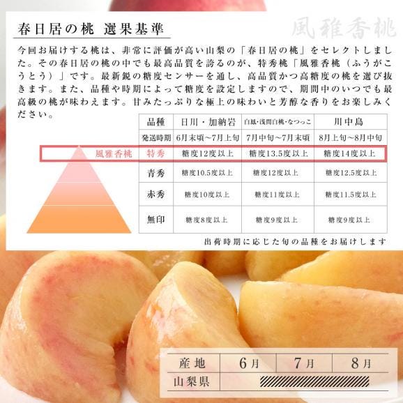 送料無料　山梨県産　JAフルーツ山梨　春日居支所　春日居の桃　特秀品 「風雅香桃」 2キロ8玉入り　夏ギフト201905