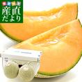 送料無料 北海道より産地直送 富良野メロン (赤肉) 大玉2キロ×2玉 ふらのめろん ふらのメロン