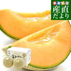 北海道より産地直送 富良野メロン (赤肉)  大玉2玉入り化粧箱 (1.6キロ×2玉) ふらのめろん レッド 送料無料