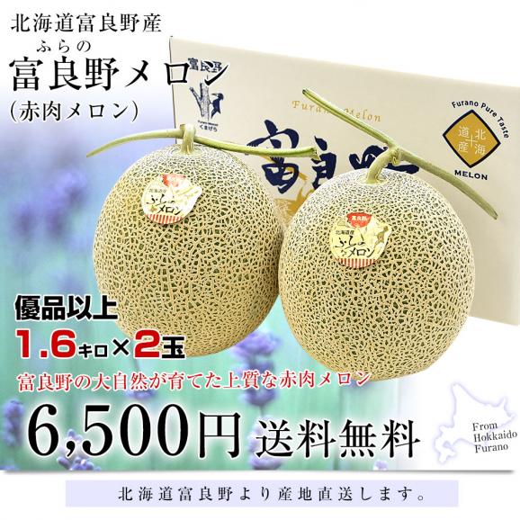 北海道より産地直送 富良野メロン (赤肉) 大玉2玉入り化粧箱 (1.6キロ×2玉) 送料無料 ふらのめろん レッド ギフト 夏ギフト お中元 御中元03