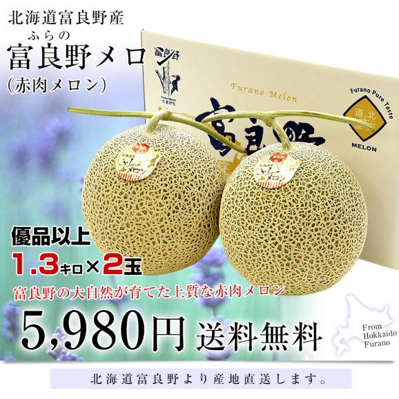 北海道より産地直送 富良野メロン (赤肉) 2玉入り化粧箱 (1.3キロ×2玉)  送料無料 ふらのめろん レッド ギフト 夏ギフト お中元 御中元03