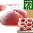 山梨県より産地直送 JAふえふき 八代支所の桃 青秀品 大玉約2キロ 化粧箱（大玉5玉から7玉）送料無料 もも モモ ギフト 夏ギフト お中元 御中元