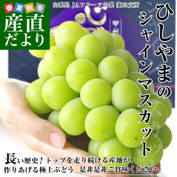 山梨県より産地直送 JAフルーツ山梨 菱山支所 シャインマスカット 最高級等級 心づくし 計約1.3キロ(650g×2房) 送料無料 葡萄 ぶどう ブドウ クール便02