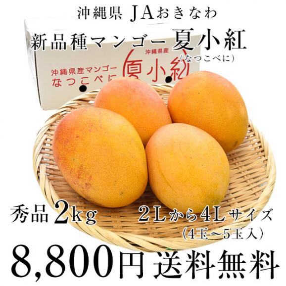 沖縄県より産地直送 JAおきなわ 新品種マンゴー 夏小紅(なつこべに)2Lから4Lサイズ 秀品 約2キロ (4玉から5玉入) 送料無料03