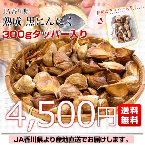 香川県より産地直送 JA香川県 熟成黒にんにく 約300g（タッパー入り） 送料無料 黒ニンニク 大蒜　香川にんにく03