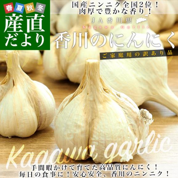 香川県から産地直送 JA香川県 ニンニク ご家庭用 約2キロ (目安として50玉前後) 送料無料 香川にんにく 大蒜 葫 讃岐 さぬき02