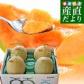 北海道産 JA夕張市 夕張メロン 良品 約8キロ （4玉入） 送料無料 めろん ゆうばり ※クール便