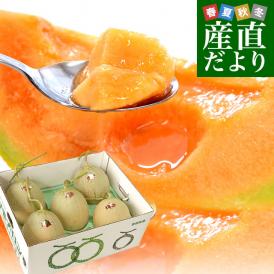 北海道産 JA夕張市 夕張メロン 良品 約8キロ （5玉入） 送料無料 めろん ゆうばり ※クール便
