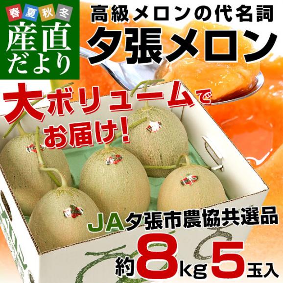 北海道産 JA夕張市 夕張メロン 良品 約8キロ （5玉入） 送料無料 めろん ゆうばり ※クール便02