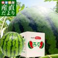 山形県より産地直送 厳選農家の尾花沢スイカ 4L 訳あり C品 大玉 (9キロ×1玉) 送料無料 すいか 西瓜