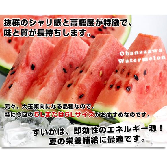 山形県産 JAみちのく村山 尾花沢すいか ＜A品＞ 超特大5Lまたは、6Lサイズ（10キロから12キロ） 西瓜 スイカ 1玉 市場発送04
