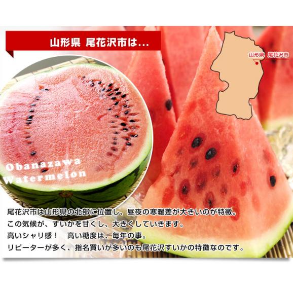 山形県産 JAみちのく村山 尾花沢すいか ＜A品＞ 超特大5Lまたは、6Lサイズ（10キロから12キロ） 西瓜 スイカ 1玉 市場発送05