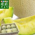 送料無料　静岡県産　静岡県温室農協 　マスクメロン・MELOX（メロックス）　キズ  6玉 　合計8キロ　市場発送