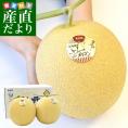 北海道から産地直送 富良野メロン 黄美香 大玉1.6キロ×2玉 メロン めろん 送料無料