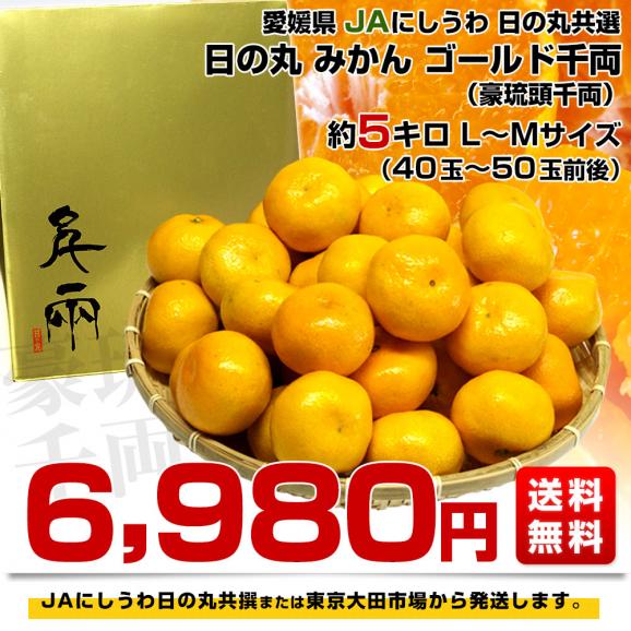 愛媛県産 JAにしうわ 日の丸プレミアムみかん ゴールド千両（豪琉頭千両）LからMサイズ5キロ（40玉から50玉前後）送料無料 蜜柑ミカン03