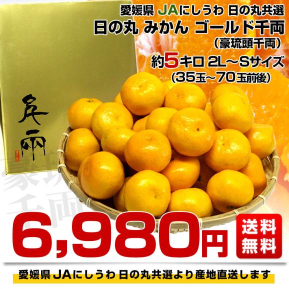 愛媛県より産地直送 JAにしうわ 日の丸プレミアムみかん ゴールド千両（豪琉頭千両）　2LからSサイズ　5キロ（35玉から70玉前後）　送料無料 蜜柑　ミカン　お歳暮 ギフト03
