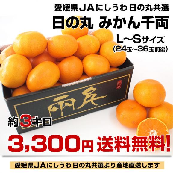 愛媛県より産地直送 JAにしうわ 日の丸みかん 千両 LからSサイズ ３キロ(24玉から36玉) 送料無料 蜜柑 ミカン お歳暮 ギフト03