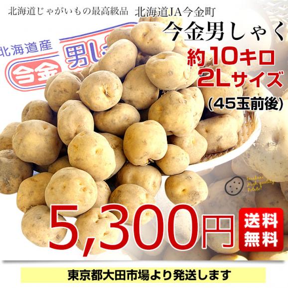 北海道産 JA今金町 じゃがいも 今金男爵 2Lサイズ 約10キロ(45玉前後入り)　送料無料 馬鈴薯 ジャガイモ 芋 男爵芋03