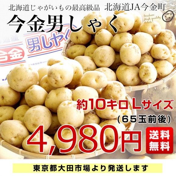 北海道産 JA今金町 じゃがいも 今金男爵 Lサイズ 約10キロ(65玉前後入り)　送料無料 馬鈴薯 ジャガイモ 芋 男爵芋03