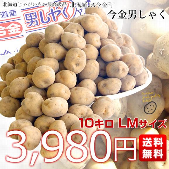 北海道産 JA今金町 じゃがいも 今金男爵 LMサイズ 10キロ 馬鈴薯 ジャガイモ 芋 送料無料 ※市場スポット03