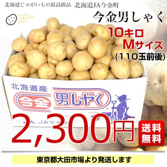 北海道産 JA今金町 じゃがいも 今金男爵 Mサイズ 約10キロ（110玉前後入り）　送料無料 馬鈴薯 ジャガイモ 芋 男爵芋03