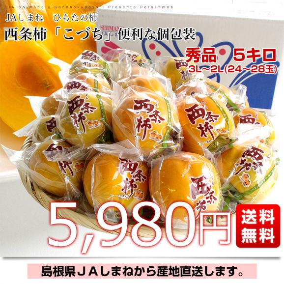 島根県より産地直送 JAしまね 平田柿部会 西条柿「こづち」 秀品 5キロ 3Lから2L(24玉から28玉) 送料無料 かき03