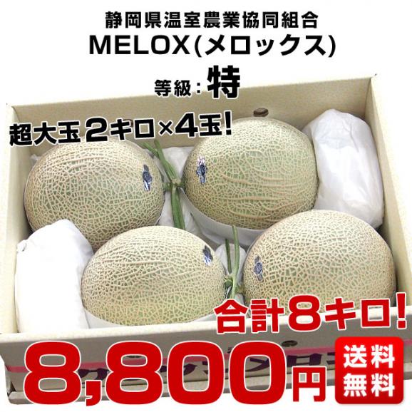 送料無料　静岡県産　静岡県温室農協 　マスクメロン　MELOX（メロックス）　超大玉2キロ×4玉 　合計8キロ　市場発送　めろん03