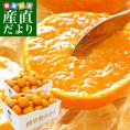 愛媛県より産地直送 JAにしうわ 西宇和温州みかん 極旨小玉 3キロ×2箱(72玉から96玉)送料無料 蜜柑 ミカン ギフト