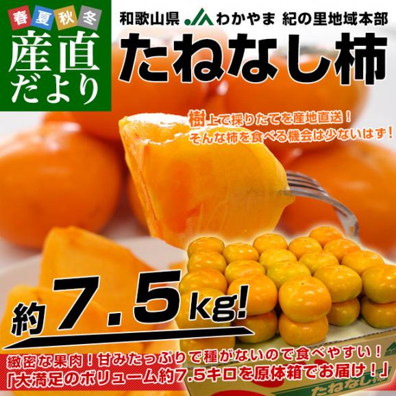 和歌山県より産地直送 JAわかやま 紀の里地域本部 たねなし柿 2LからLサイズ 7.5キロ(32玉から36玉)カキ 刀根柿 平核無柿 とねがき ひらたねなしがき02
