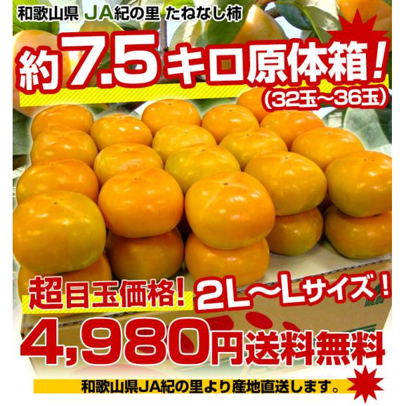 和歌山県より産地直送 JA紀の里 たねなし柿 ２LからLサイズ 7.5キロ（32玉から36玉）カキ 刀根柿 平核無柿　とねがき　ひらたねなしがき03
