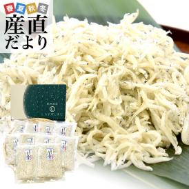 和歌山県より産地直送 釜揚げしらす 1キロ (100g×10P) ※冷凍便 送料無料