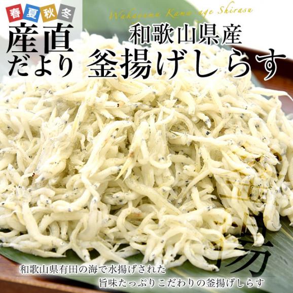 和歌山県より産地直送 釜揚げしらす 1キロ (100g×10P) ※冷凍便 送料無料02